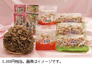自社製品セット
