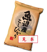 新潟県以外に在住の株主様