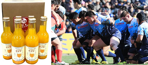 ヤマハ発動機(株)の株主優待イメージ