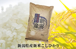 保有株式数に応じてポイント進呈