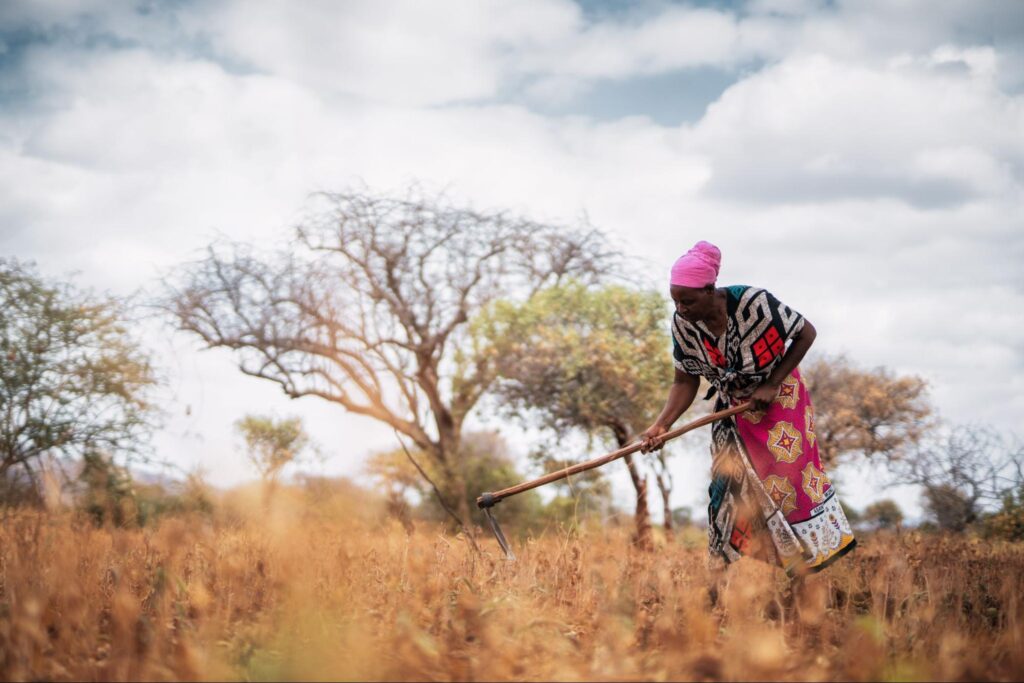 ソフトバンクG出資のレモネード、DeFiで「不可能だった保険」を可能に──異常気象に困窮するアフリカの農家を救えるか【取材】