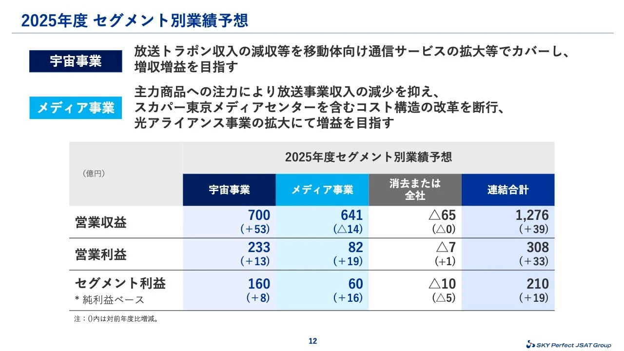 2025年度 セグメント別業績予想