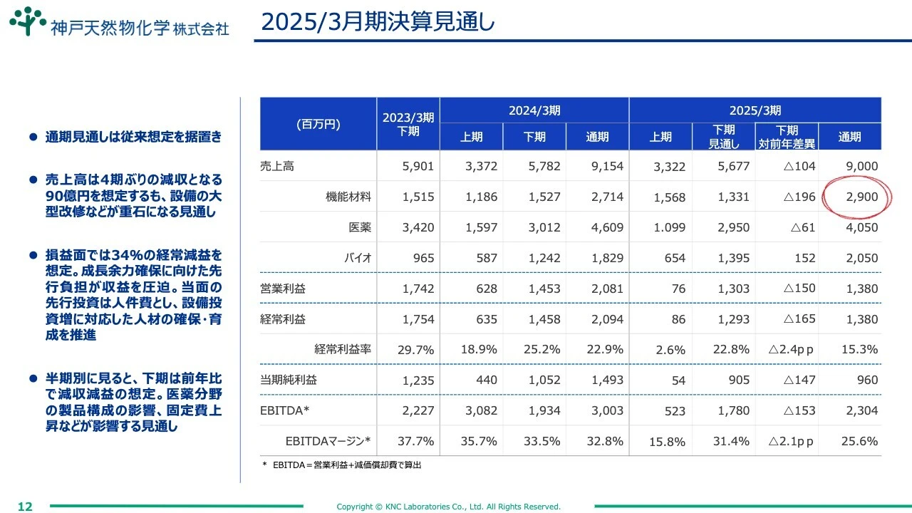 2025/3月期決算見通し
