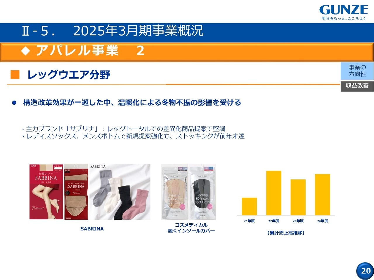 II-5. 2025年3月期事業概況