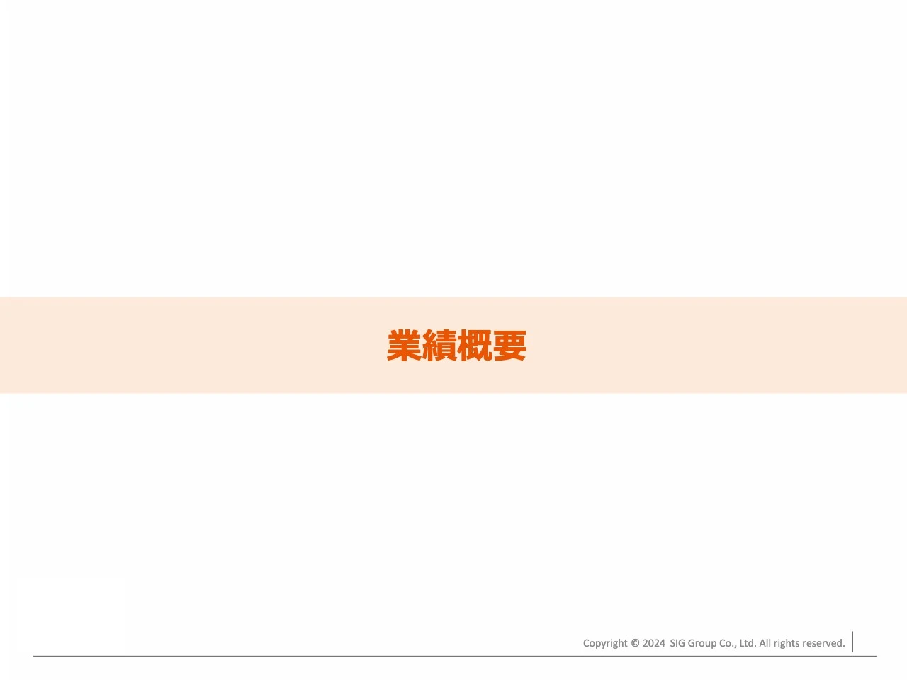 業績概要